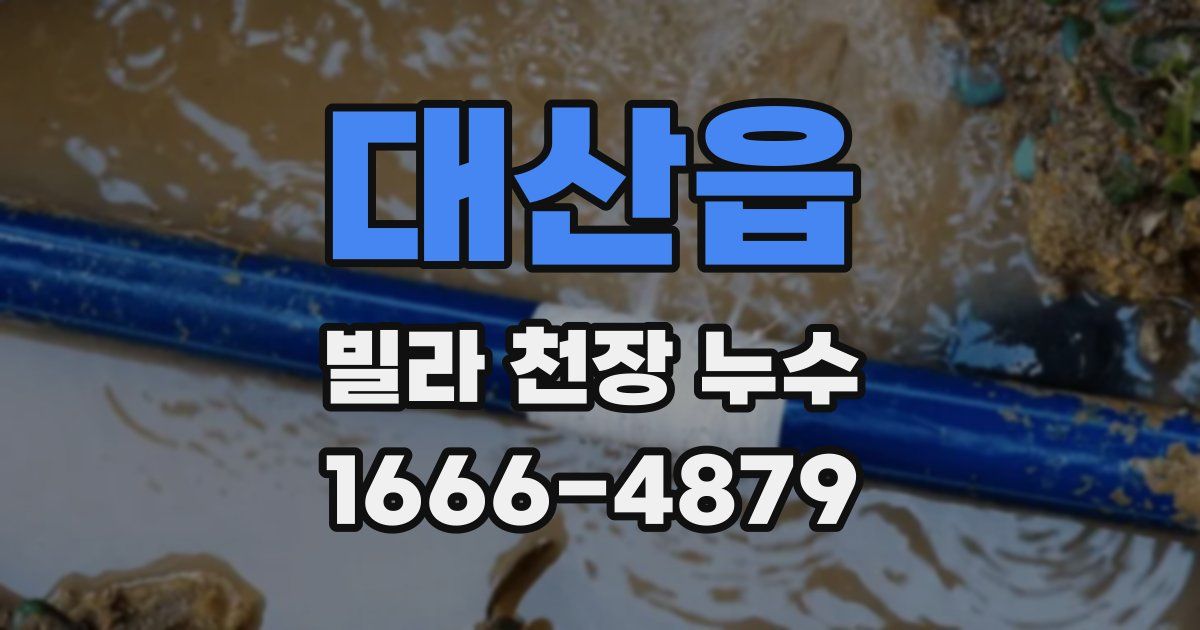 대산읍 빌라 천장 누수