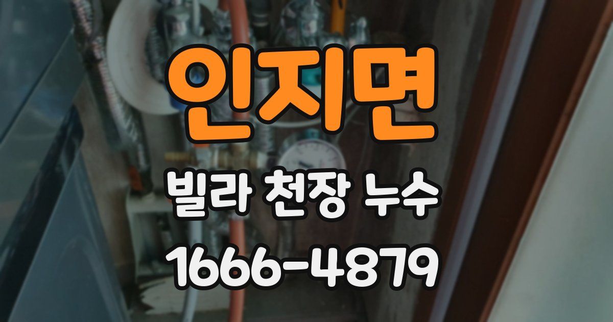인지면 빌라 천장 누수