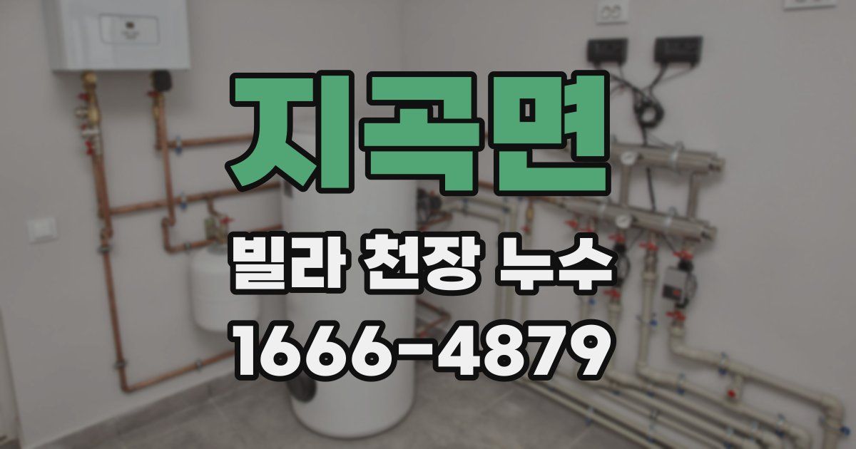 지곡면 빌라 천장 누수