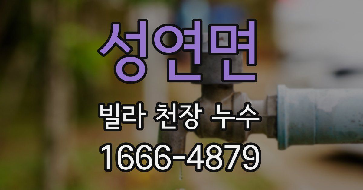 성연면 빌라 천장 누수