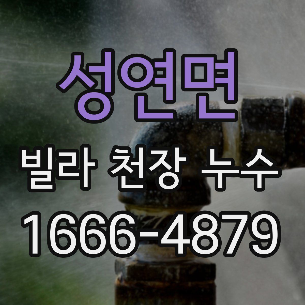 성연면 빌라 천장 누수