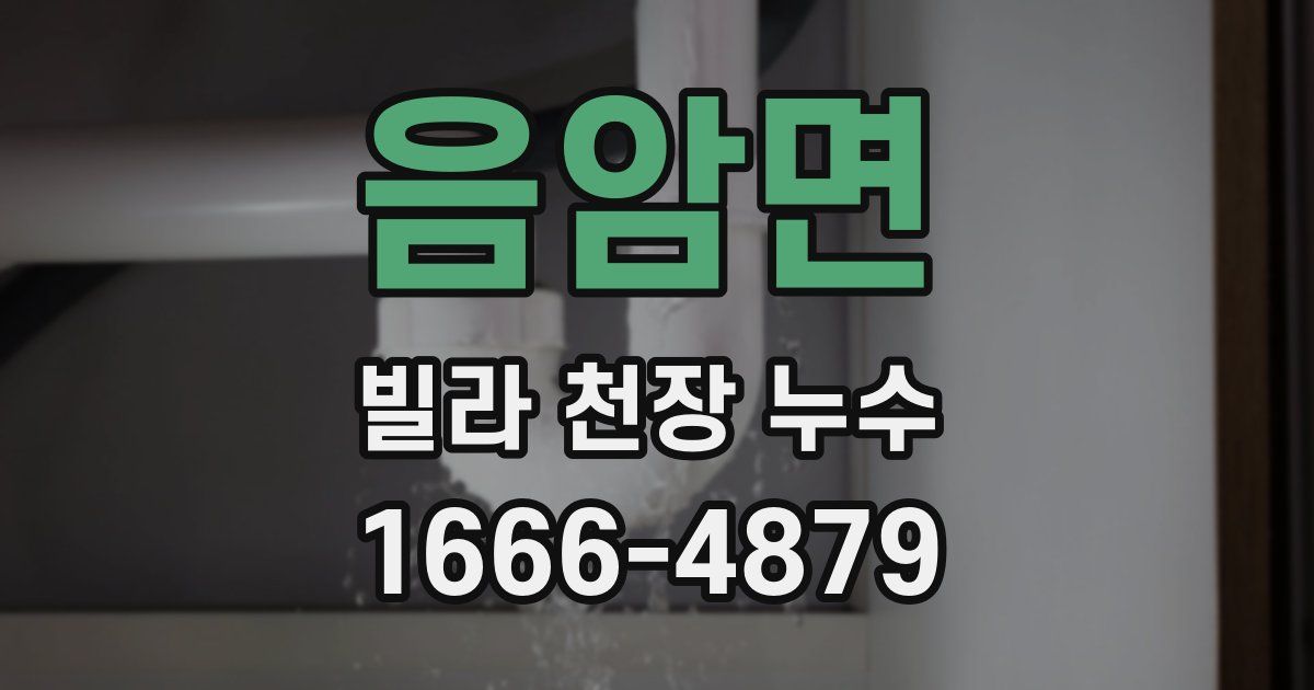 음암면 빌라 천장 누수