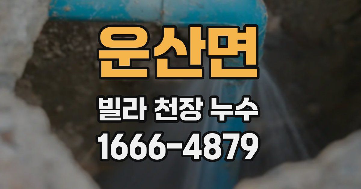 운산면 빌라 천장 누수