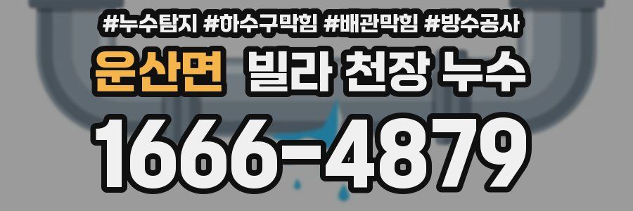 운산면 빌라 천장 누수