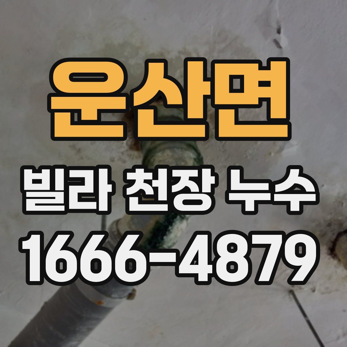 운산면 빌라 천장 누수