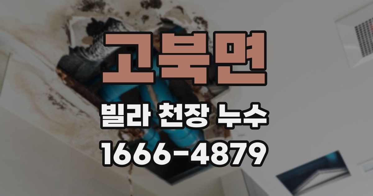 고북면 빌라 천장 누수