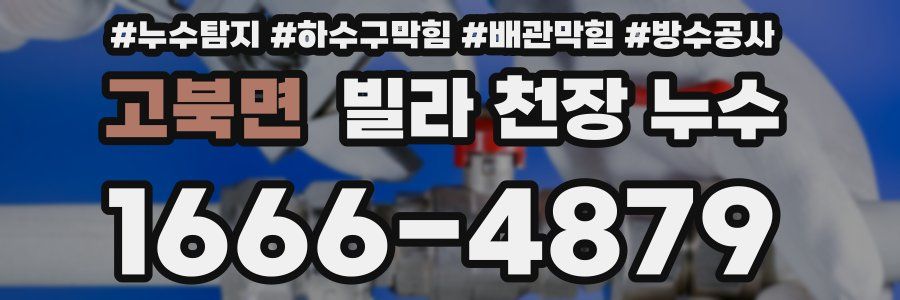 고북면 빌라 천장 누수