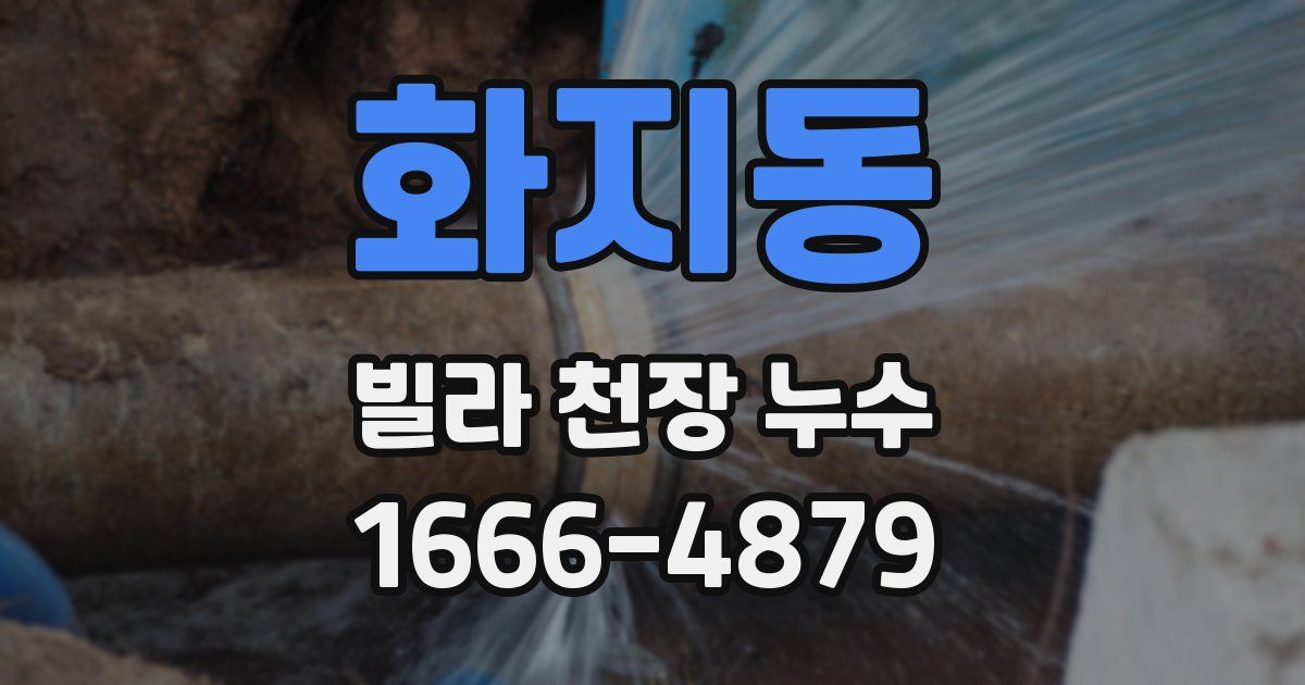 화지동 빌라 천장 누수