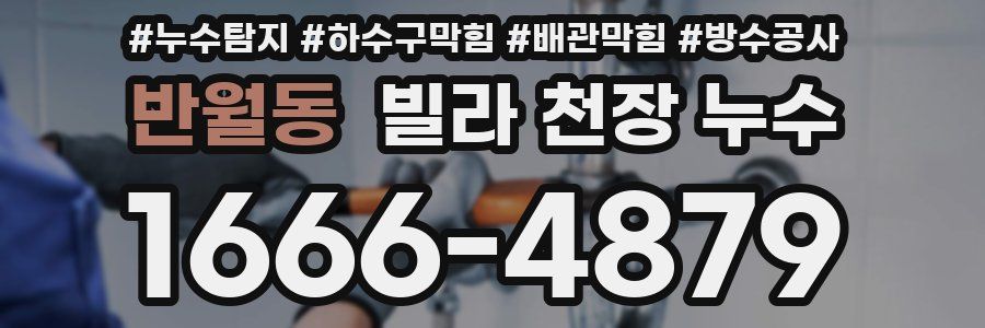 반월동 빌라 천장 누수