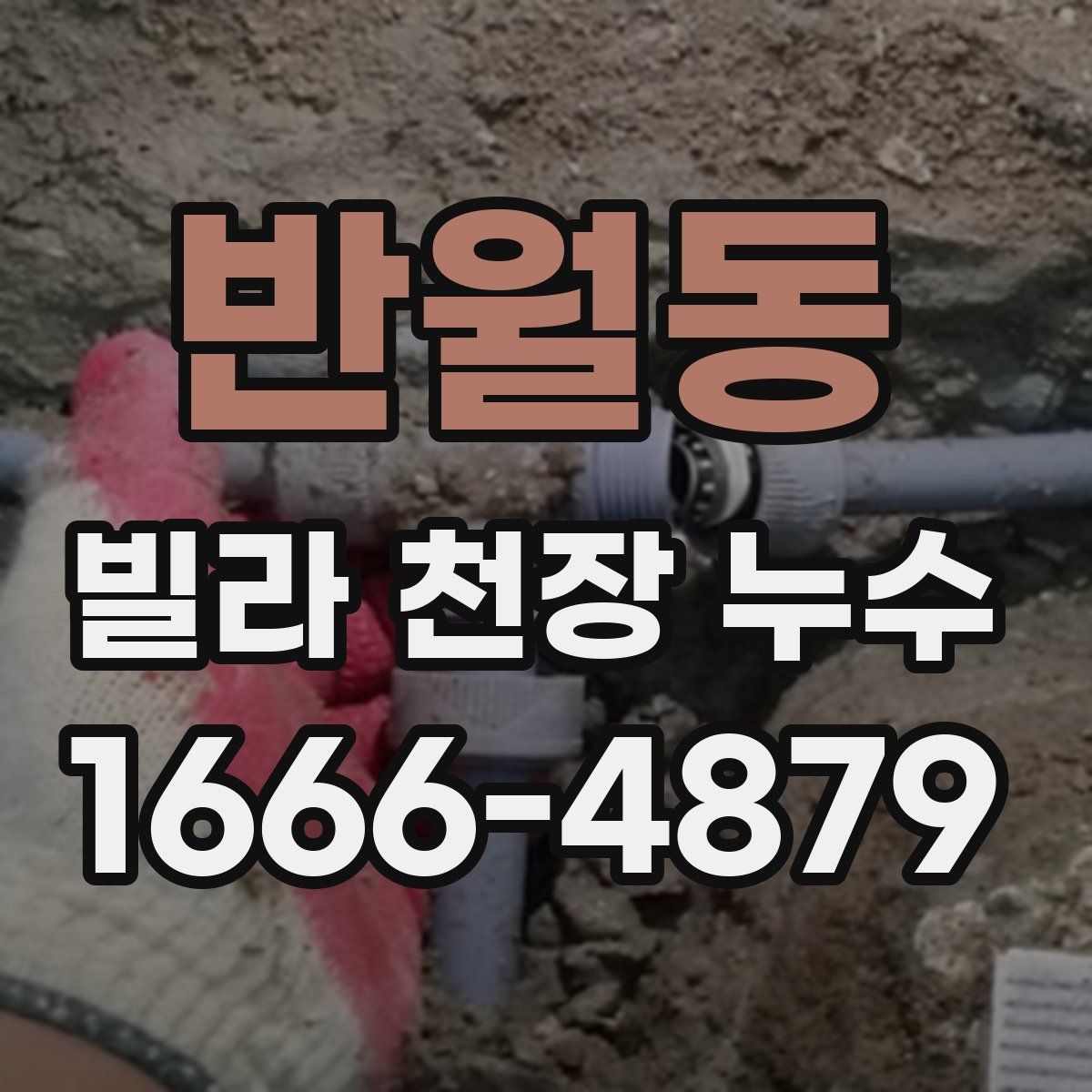 반월동 빌라 천장 누수