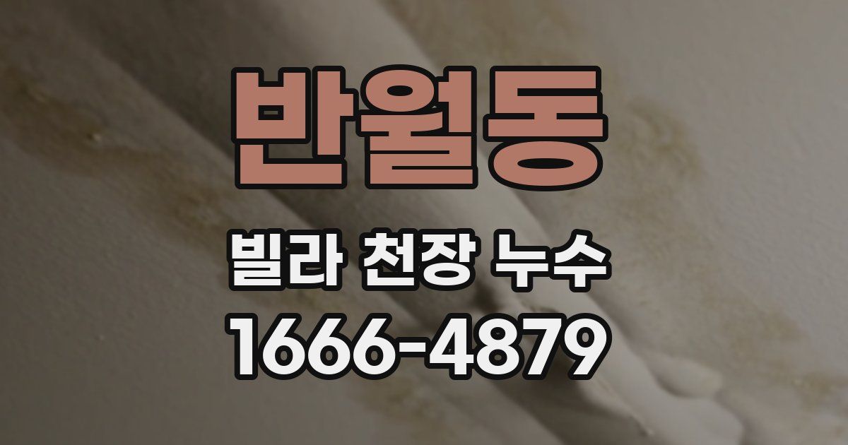 반월동 빌라 천장 누수