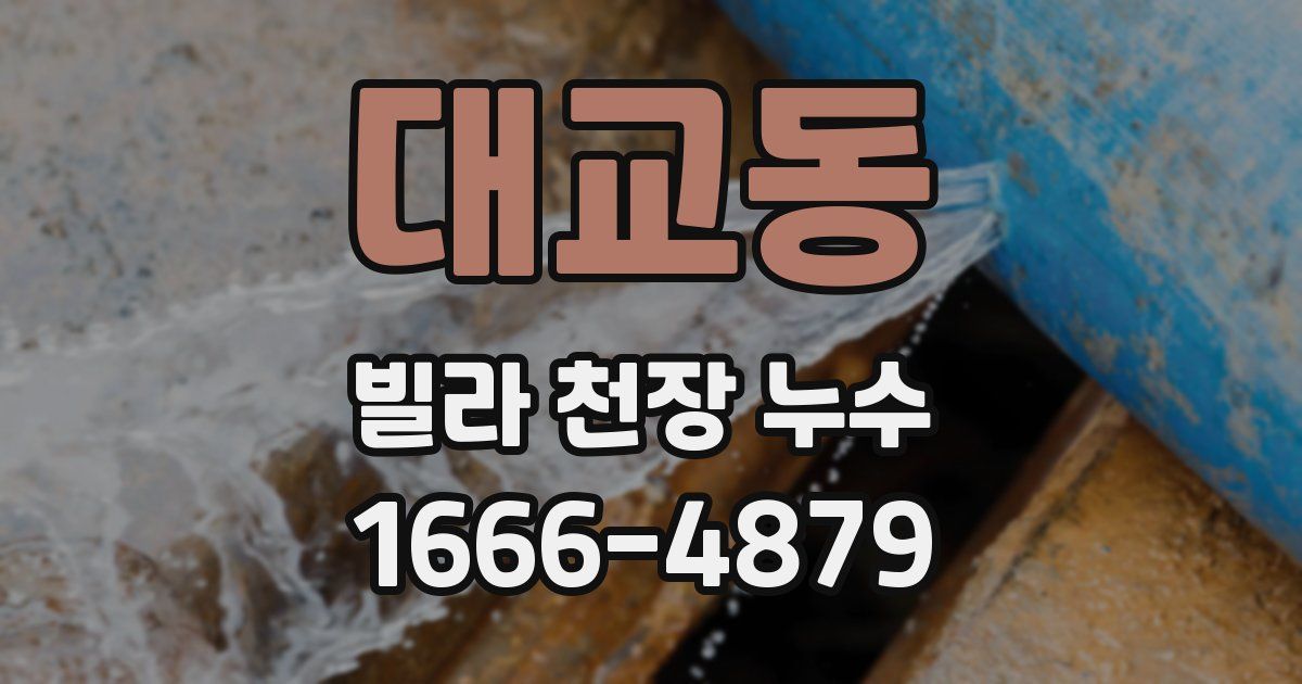 대교동 빌라 천장 누수