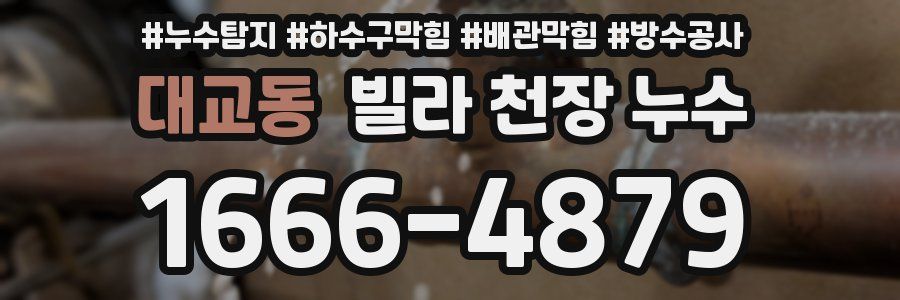 대교동 빌라 천장 누수