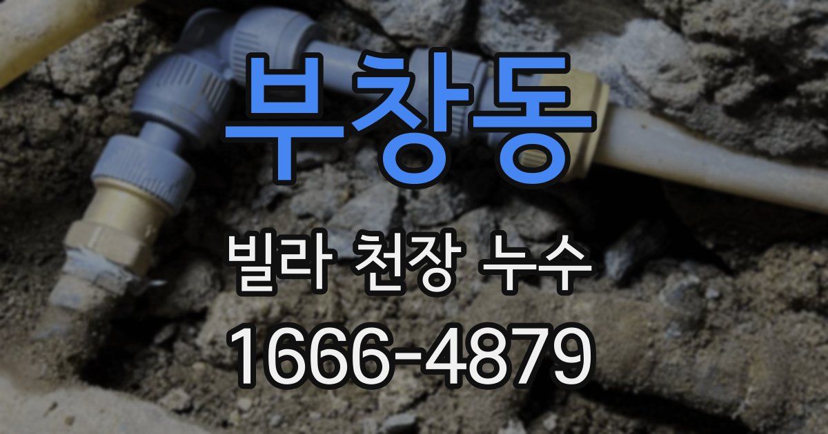 부창동 빌라 천장 누수