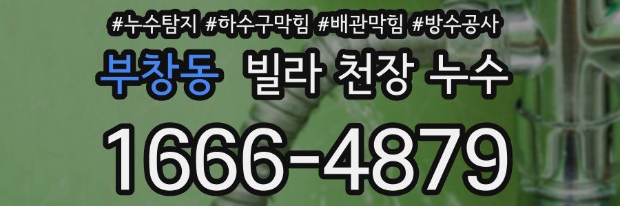 부창동 빌라 천장 누수