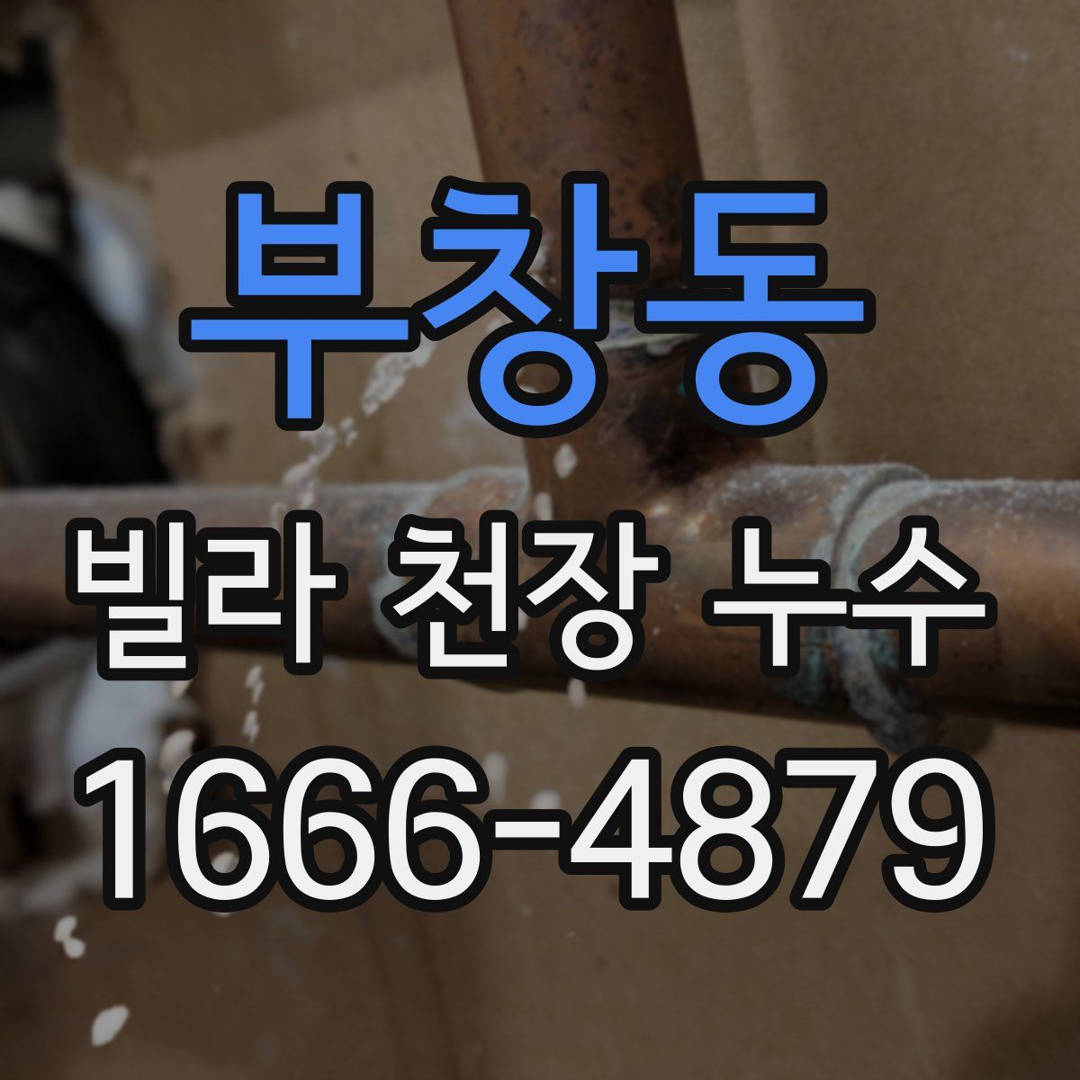 부창동 빌라 천장 누수