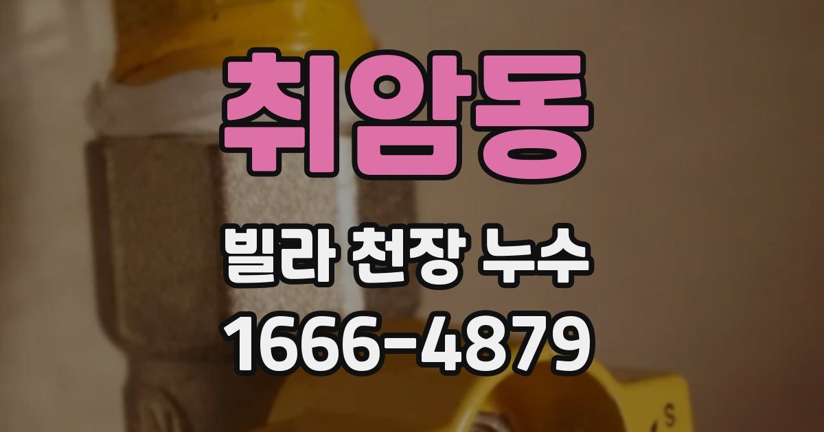 취암동 빌라 천장 누수