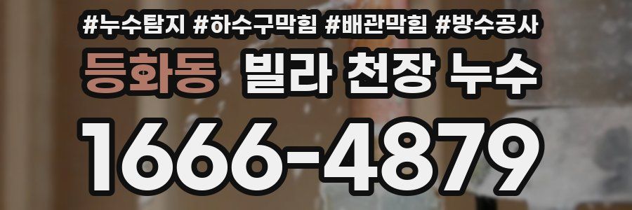 등화동 빌라 천장 누수