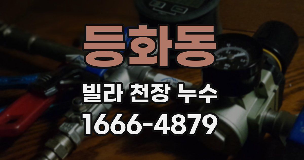 등화동 빌라 천장 누수