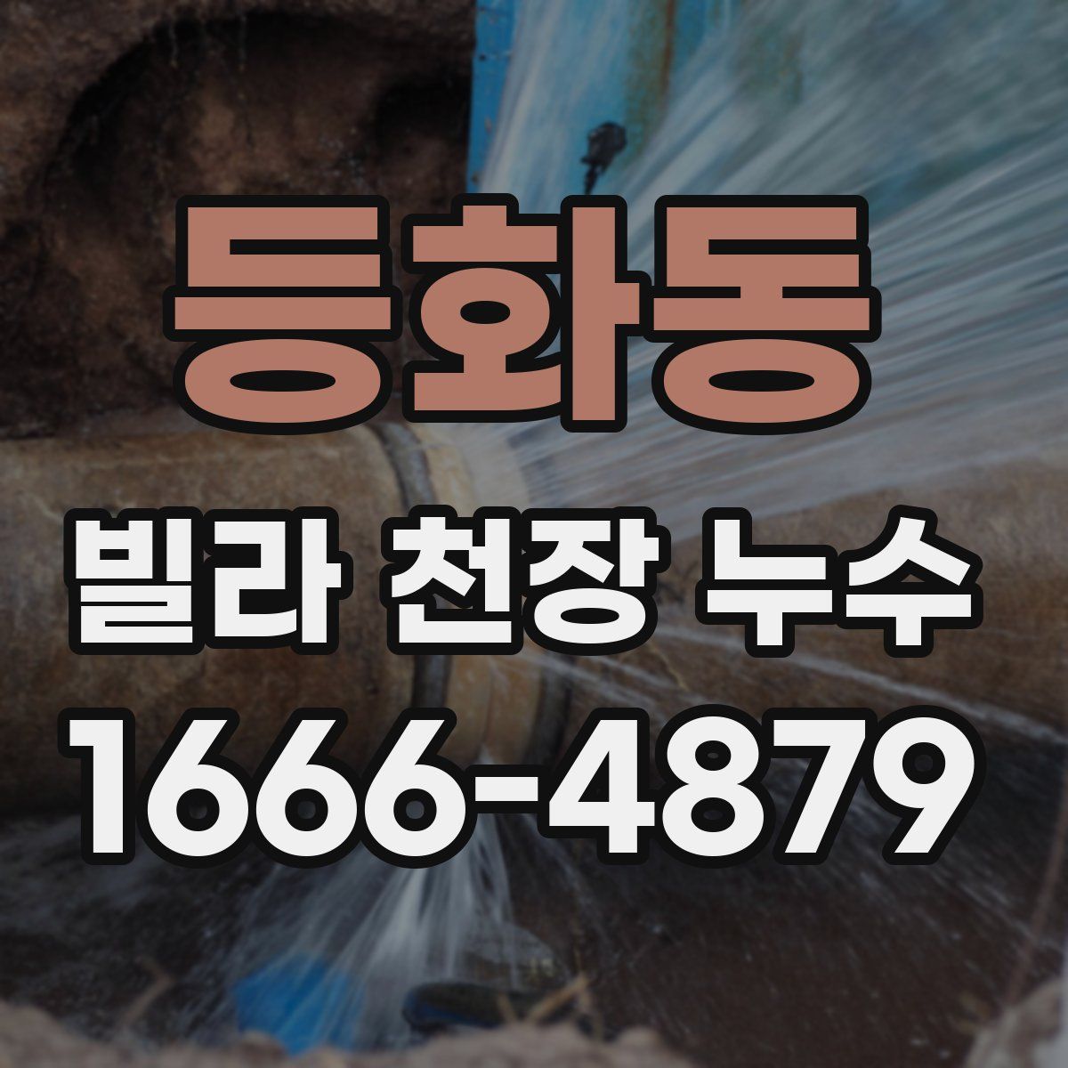 등화동 빌라 천장 누수