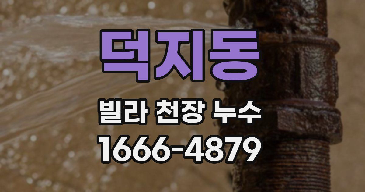 덕지동 빌라 천장 누수