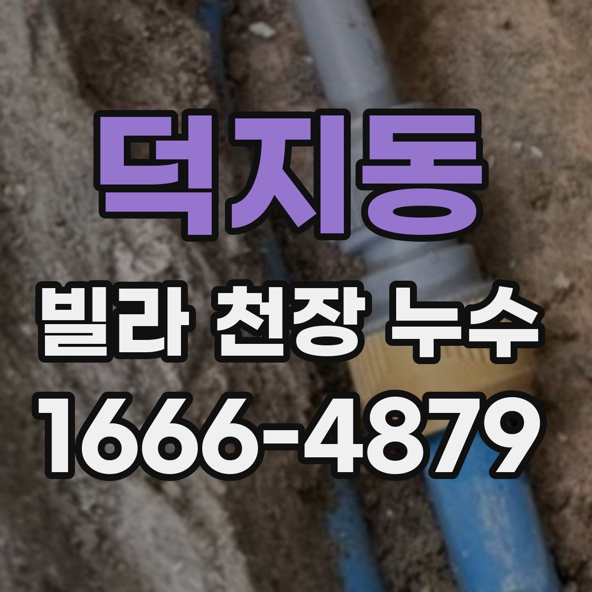 덕지동 빌라 천장 누수