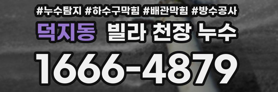 덕지동 빌라 천장 누수
