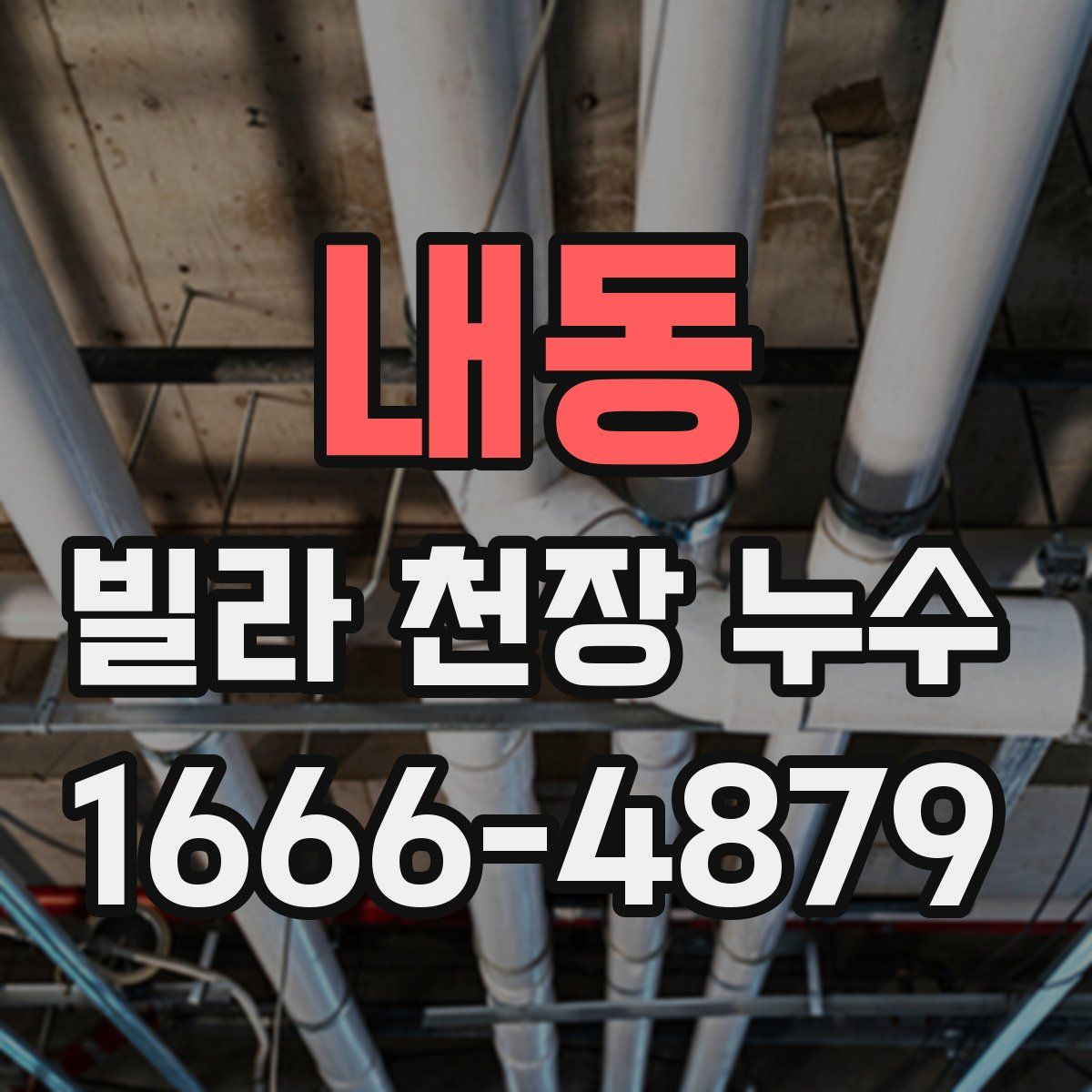 내동 빌라 천장 누수