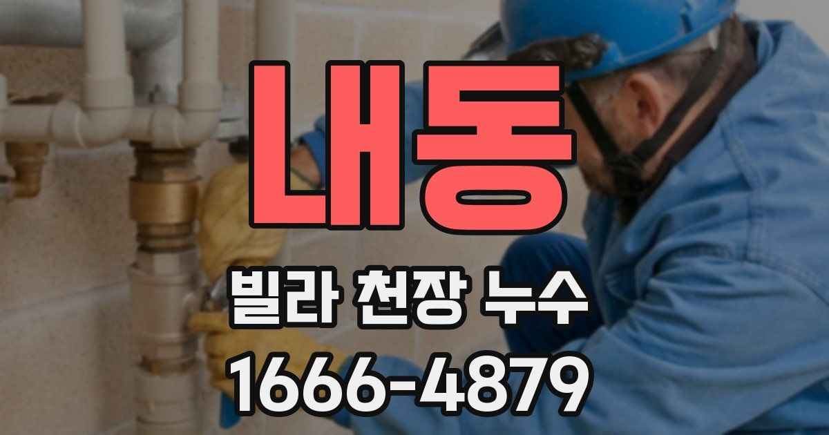 내동 빌라 천장 누수