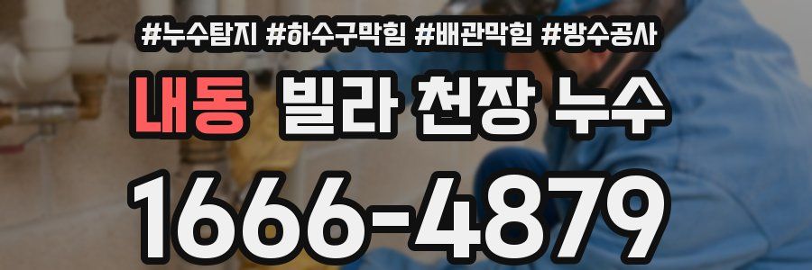 내동 빌라 천장 누수
