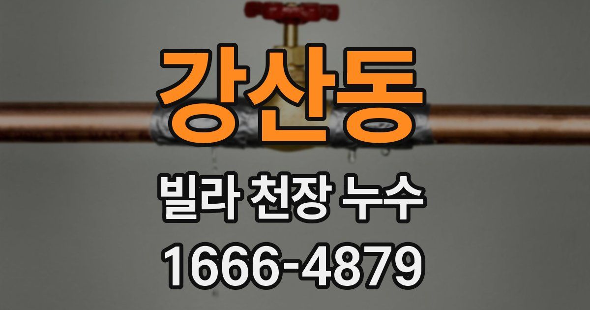 강산동 빌라 천장 누수
