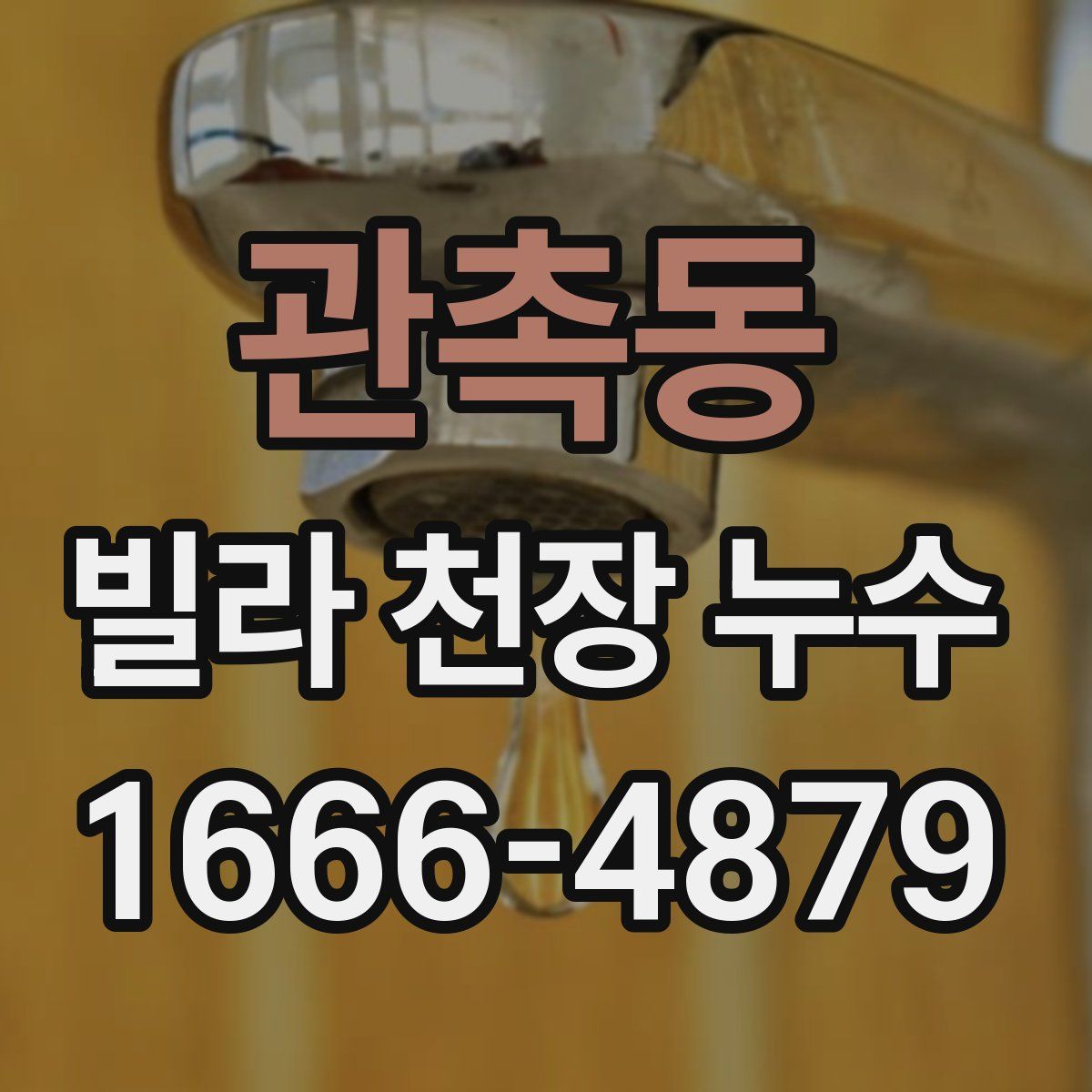관촉동 빌라 천장 누수
