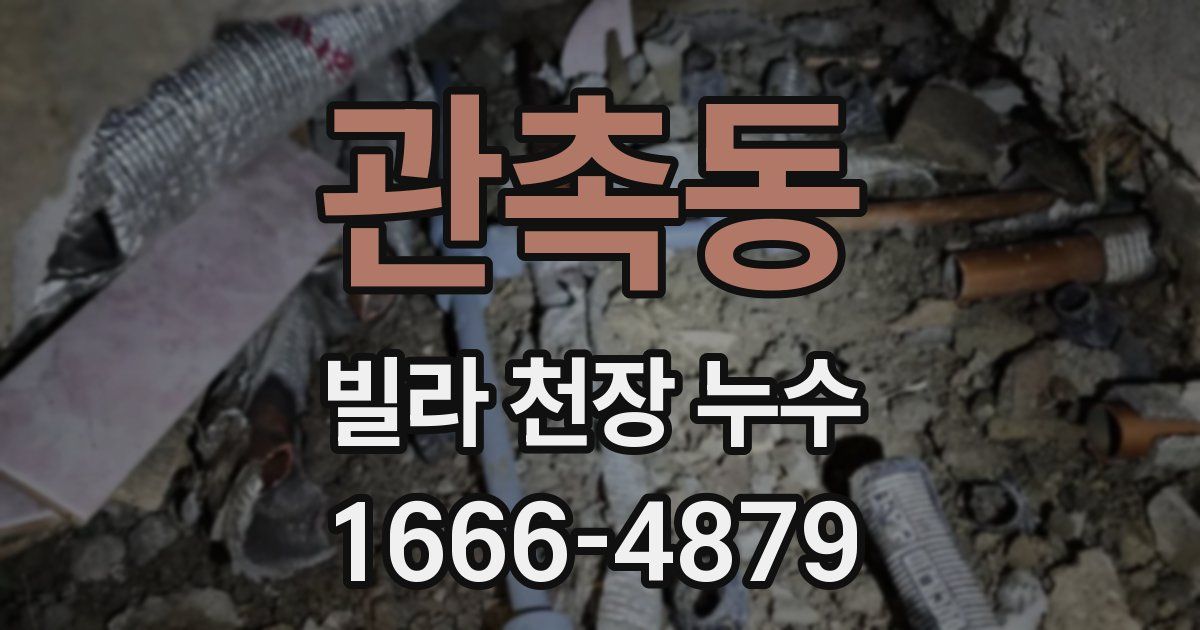 관촉동 빌라 천장 누수