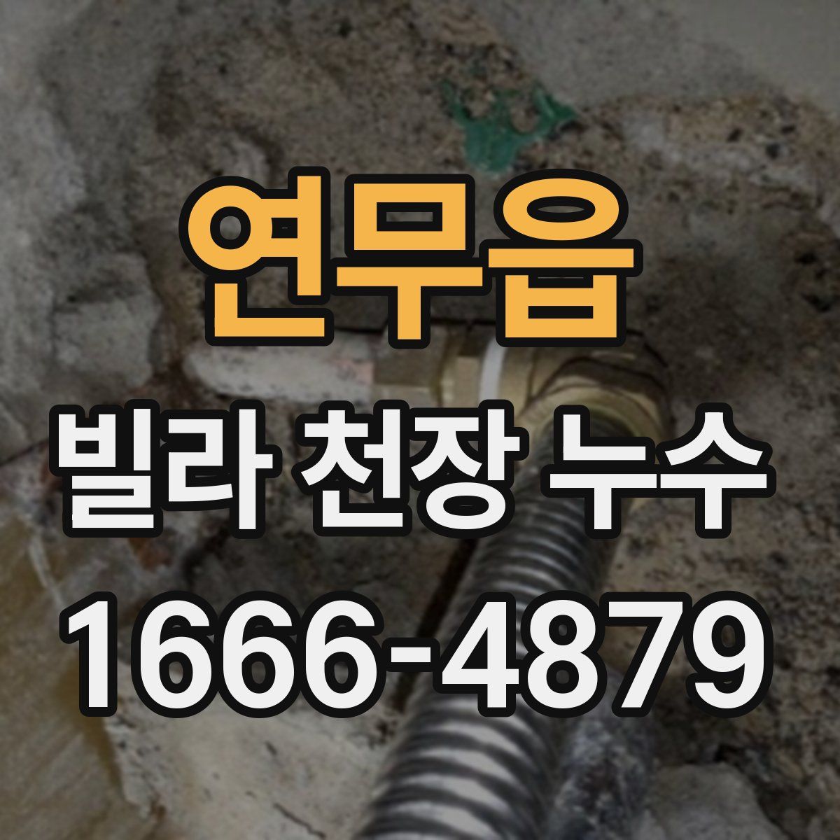 연무읍 빌라 천장 누수