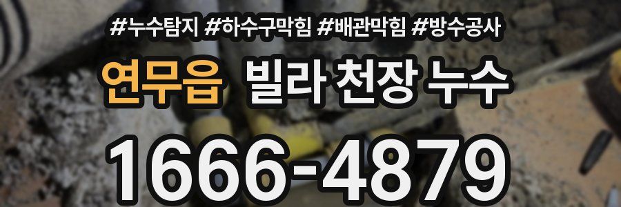 연무읍 빌라 천장 누수
