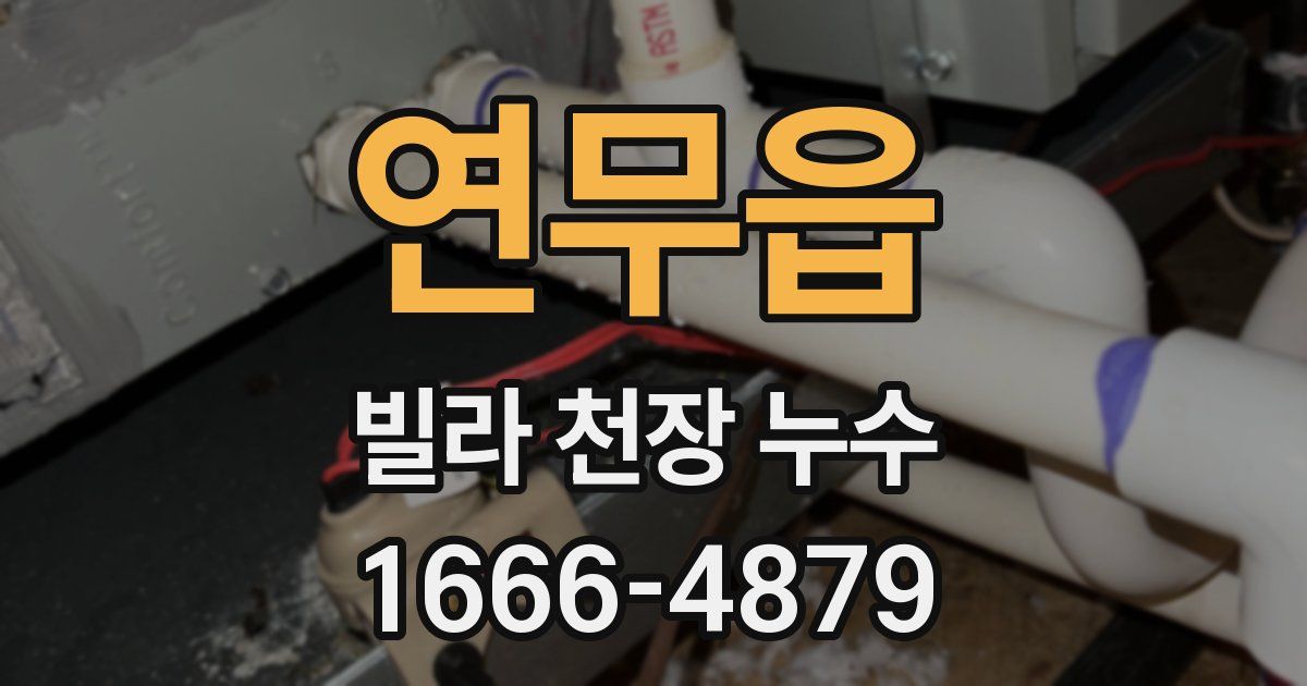 연무읍 빌라 천장 누수