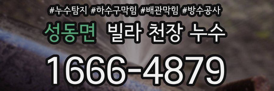 성동면 빌라 천장 누수
