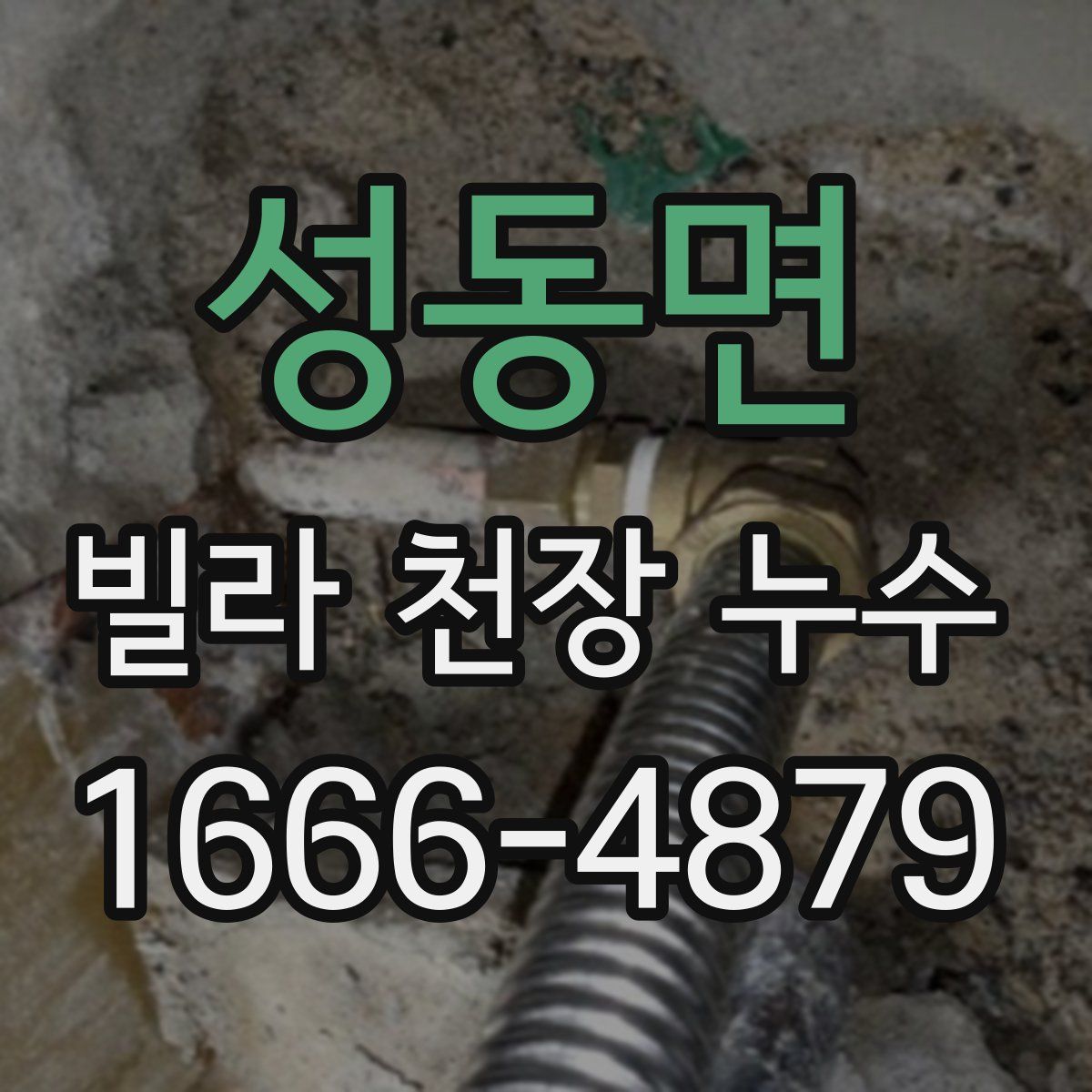 성동면 빌라 천장 누수