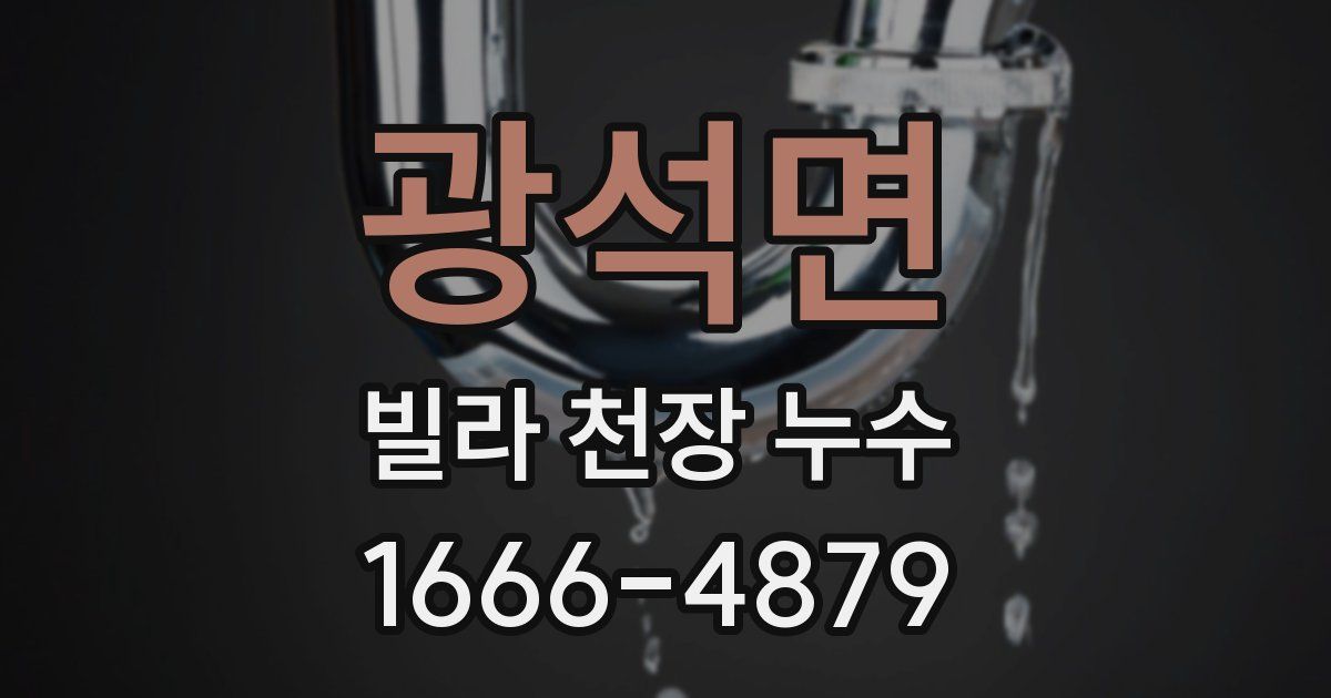 광석면 빌라 천장 누수