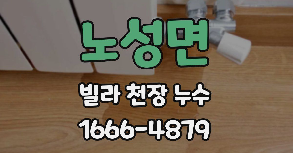 노성면 빌라 천장 누수