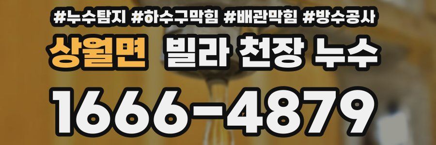 상월면 빌라 천장 누수