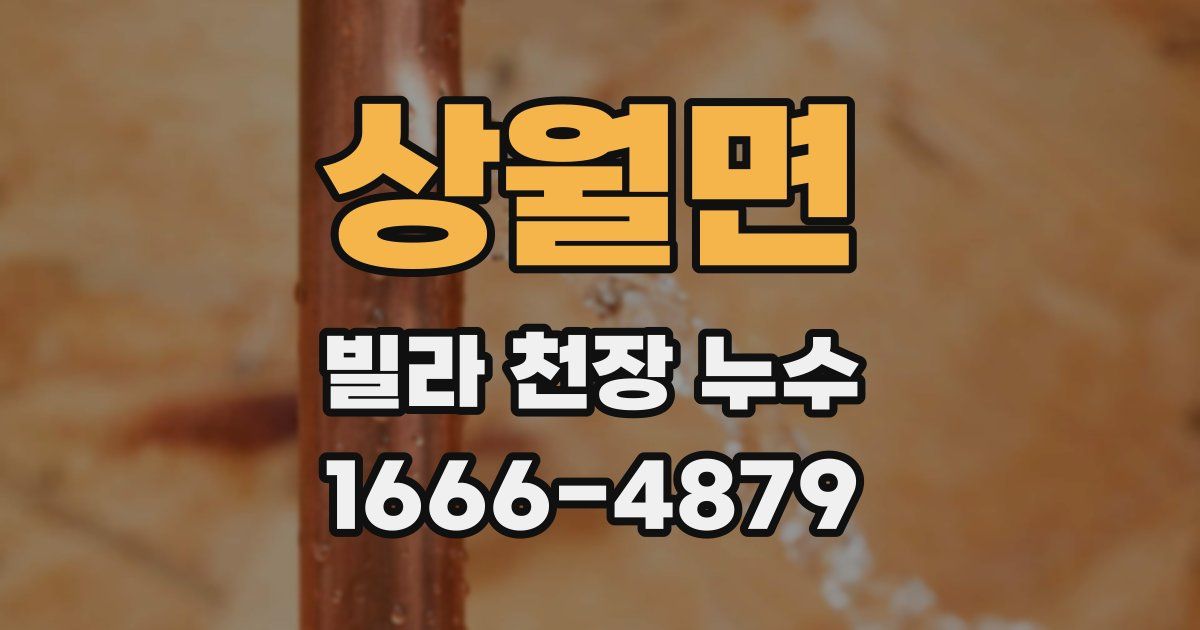 상월면 빌라 천장 누수