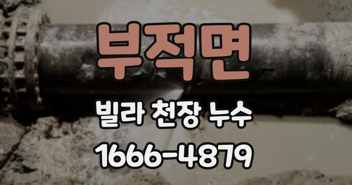 부적면 빌라 천장 누수