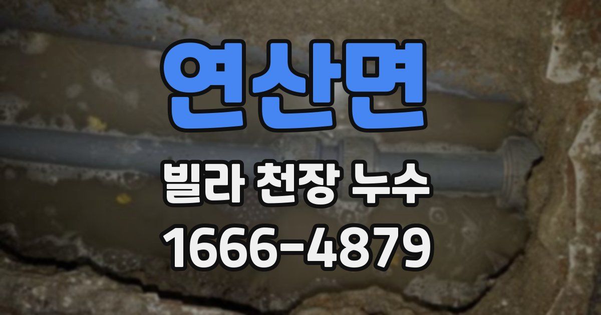 연산면 빌라 천장 누수