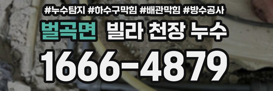 벌곡면 빌라 천장 누수
