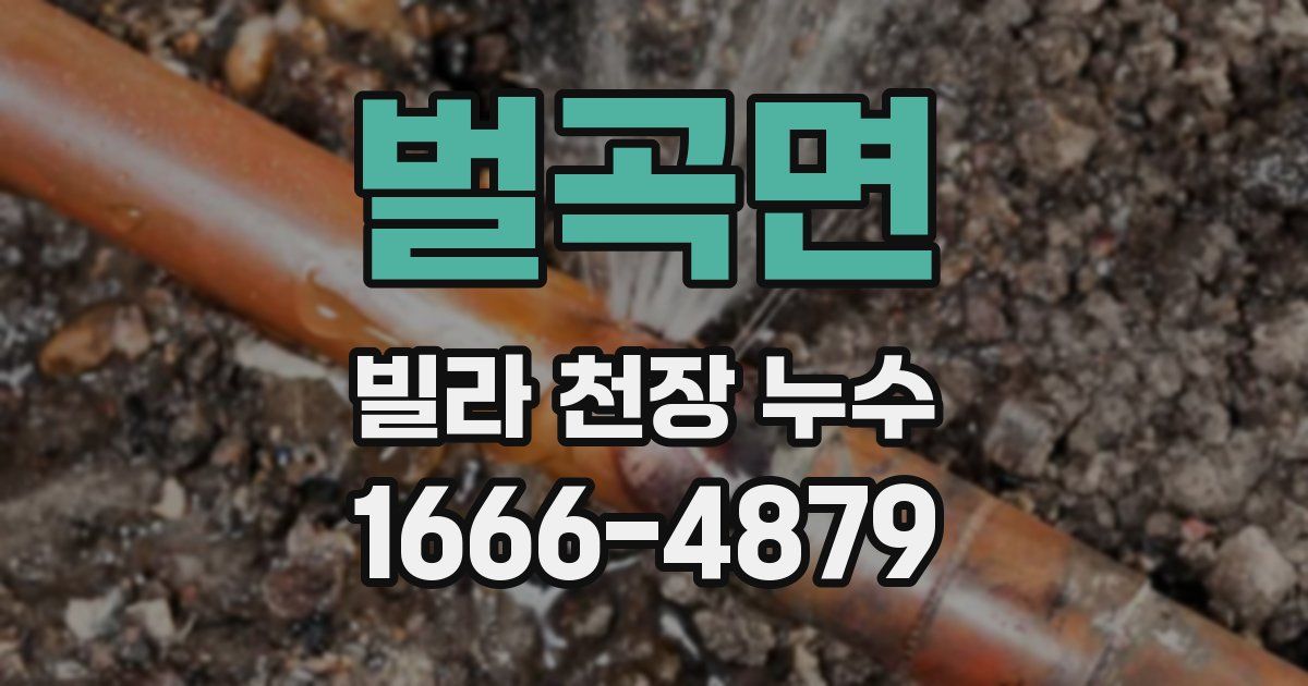 벌곡면 빌라 천장 누수