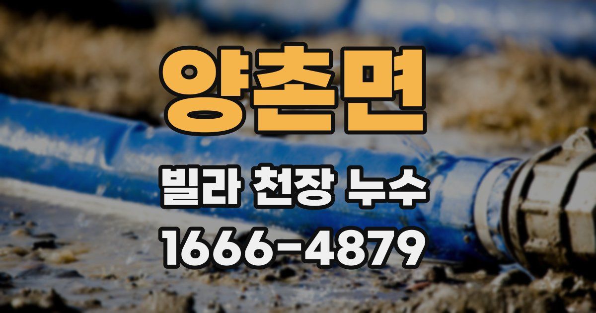 양촌면 빌라 천장 누수