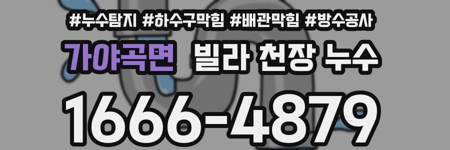 가야곡면 빌라 천장 누수