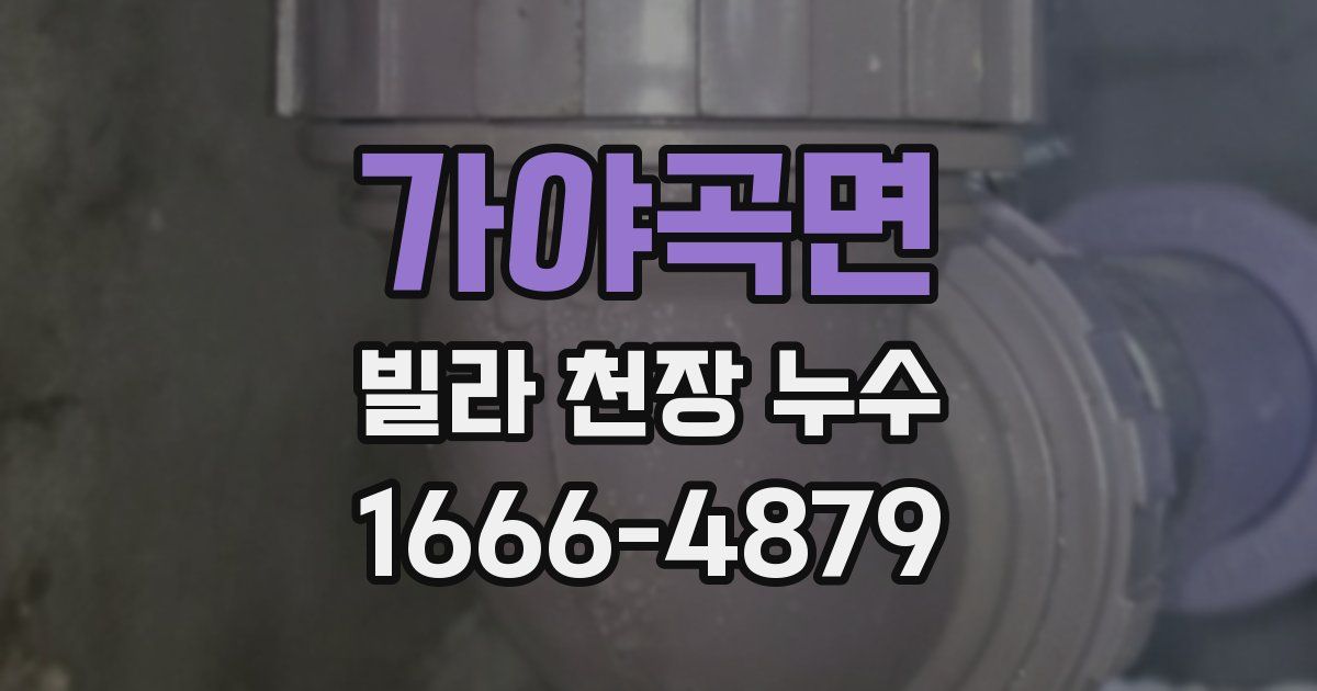 가야곡면 빌라 천장 누수