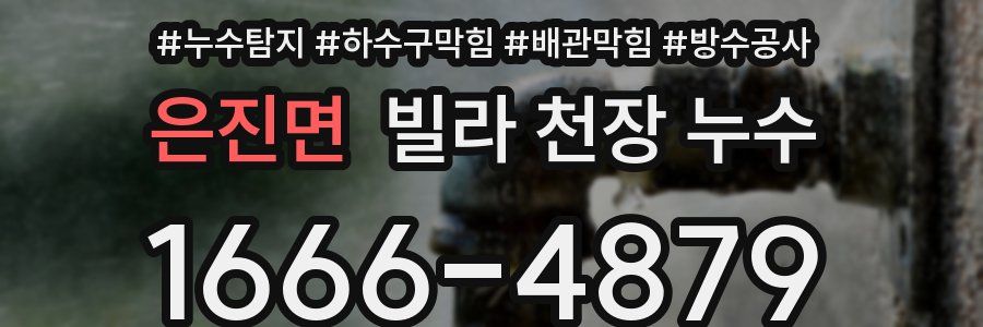 은진면 빌라 천장 누수